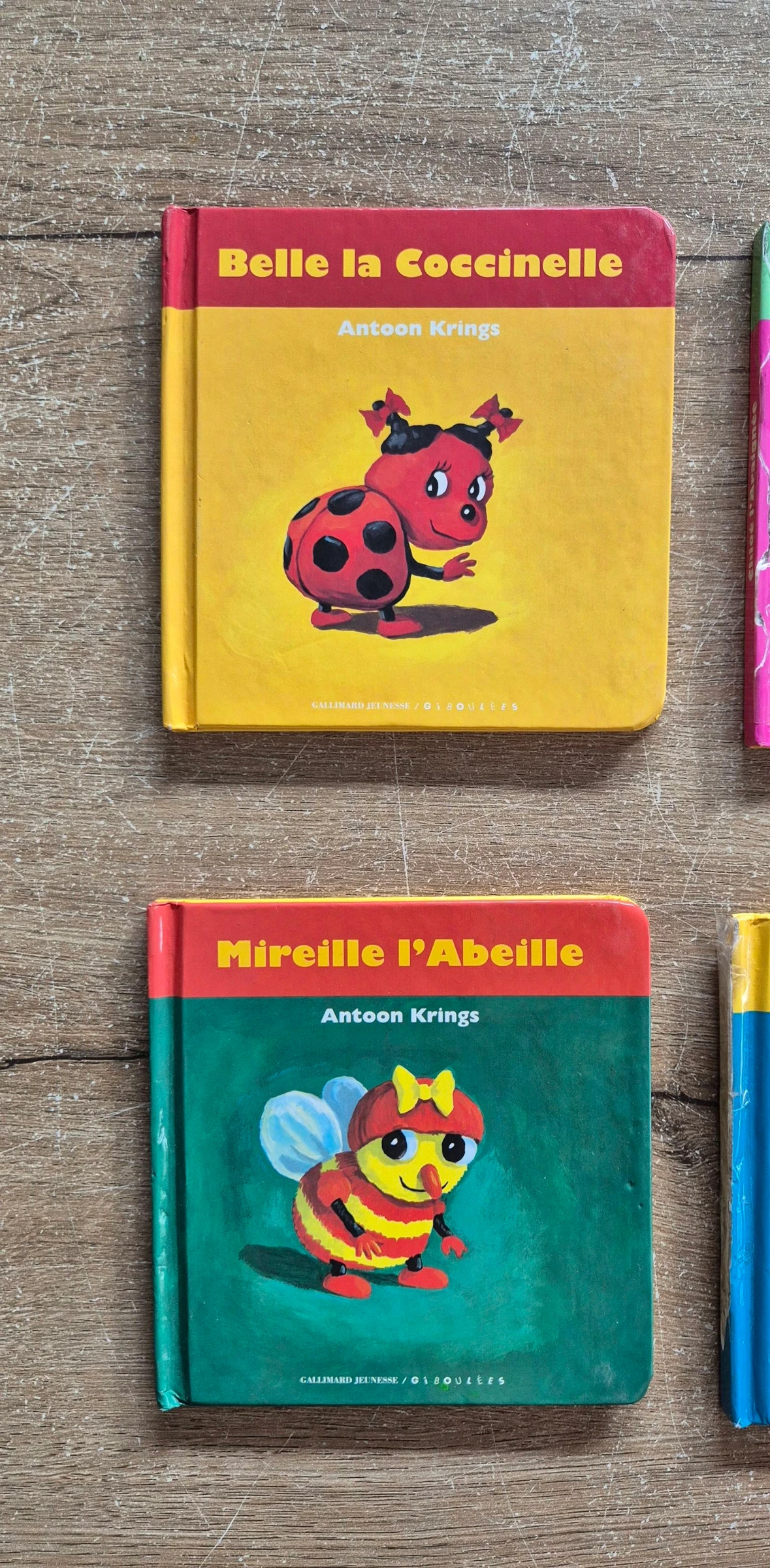 Cofre coleccionista Drôles de petites bêtes – photo 5